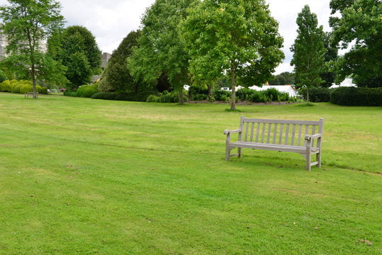 Backyard before visualization