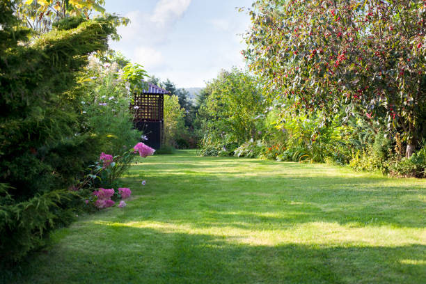 Garden before visualization
