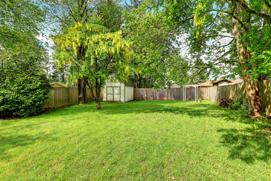 Empty yard before visualization